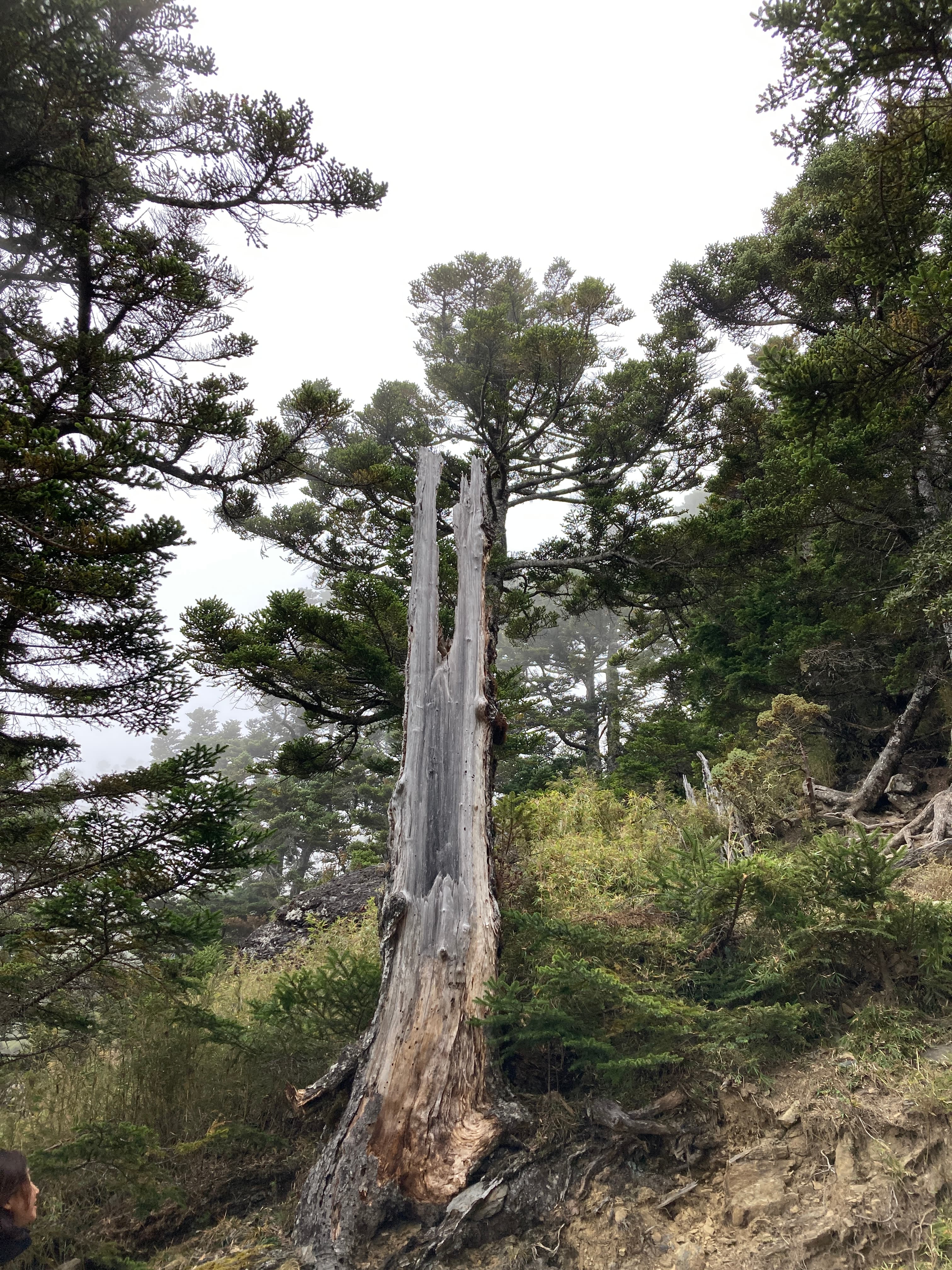 Hiking 2